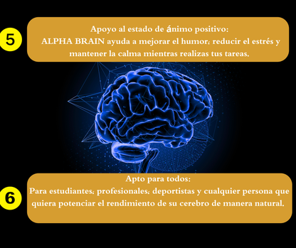 Alpha Brain – El poder de tu mente en una cápsula